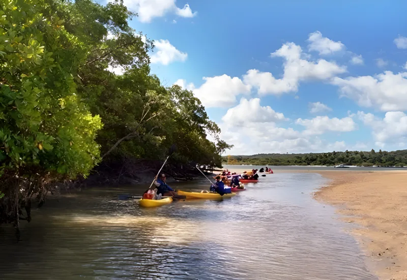 Caiaques no rio em uma saída da Tribo
