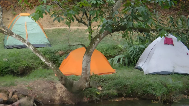 Camping com a Tribo da Trilha