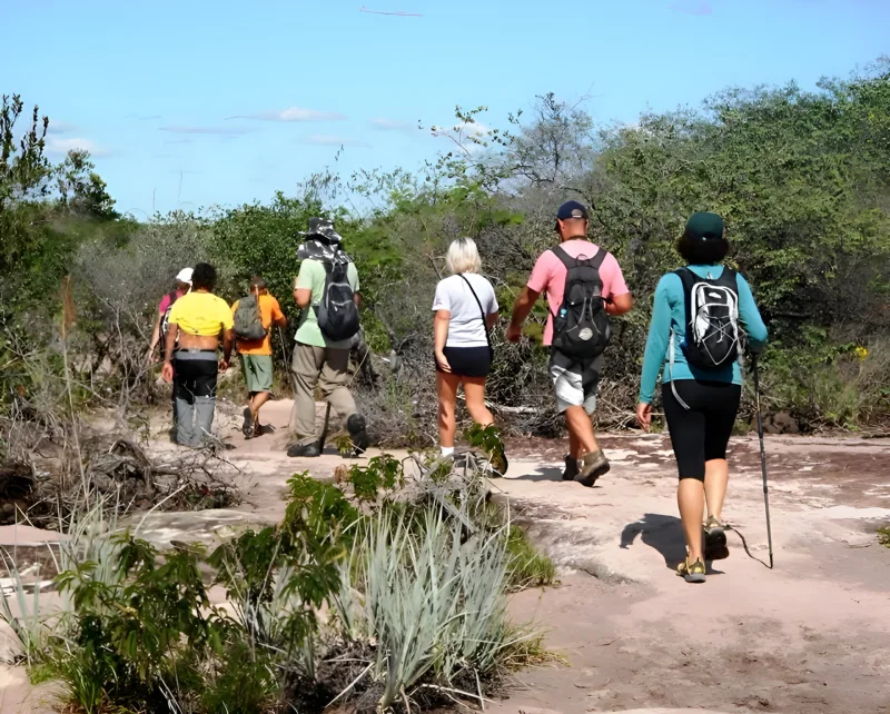 Trilha / Hiking com a Tribo da Trilha