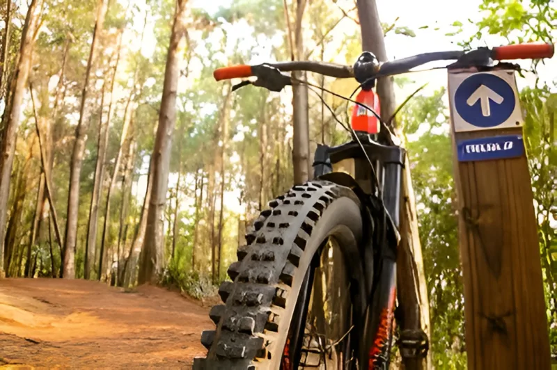 Cicloturismo: grupo pedalando em Pernambuco com a Tribo da Trilha (foto 5)