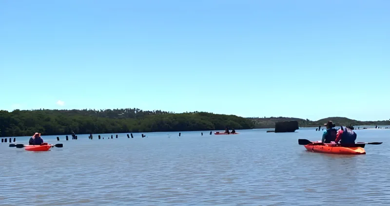Passeio de caiaque em rio de Pernambuco com a Tribo da Trilha (foto 4)